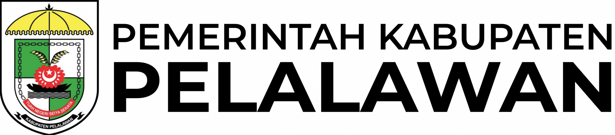 Dashboard Puskesmas Pelalawan